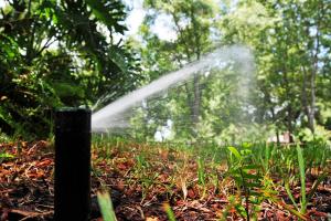 hunter sprinkler head installed by a Pittsburg irrigation repair contractor